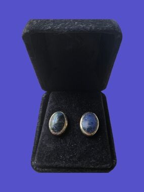 Gold-Trim Blue Oval Stone Stud Earrings